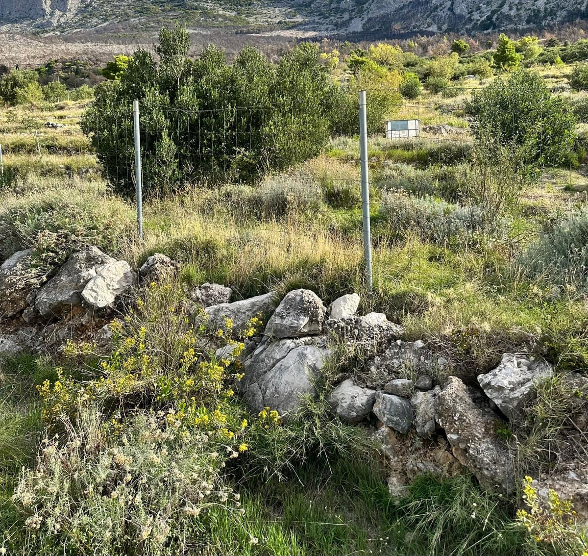 Poljoprivredno zemljište 4056 m² – Gornja Podgora
